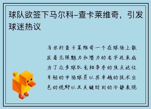 球队欲签下马尔科-查卡莱维奇，引发球迷热议