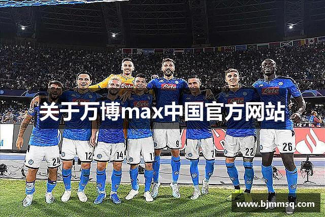 关于万博max中国官方网站